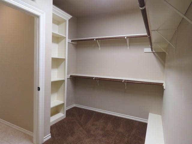 walk in closet featuring carpet