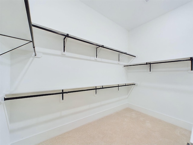 spacious closet with carpet floors