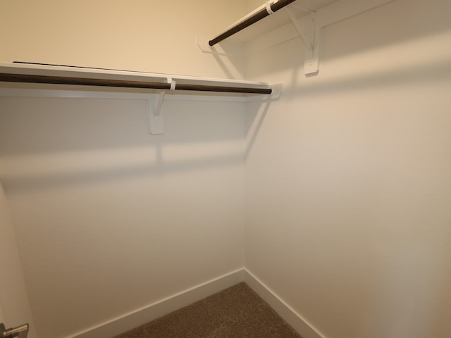 8327 Oceanmist Cove Dr, Cypress, TX 77433 - spacious closet with dark colored carpet