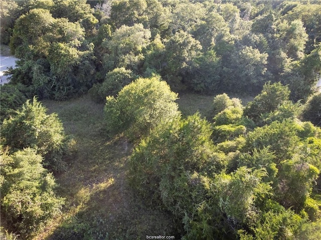 Listing photo 2 for 3ACRES Private Road 2019, Caldwell TX 77836