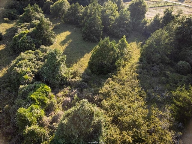 Listing photo 3 for 3ACRES Private Road 2019, Caldwell TX 77836