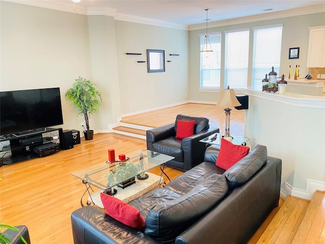 living room with light hardwood / wood-style flooring and crown molding