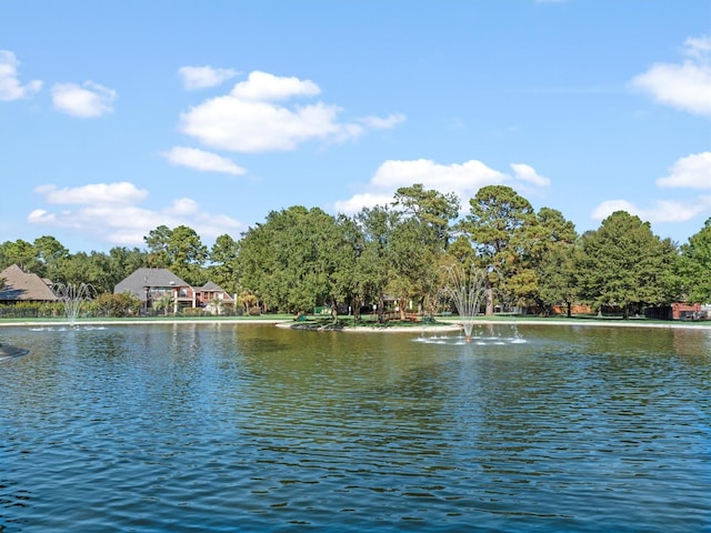 view of water feature