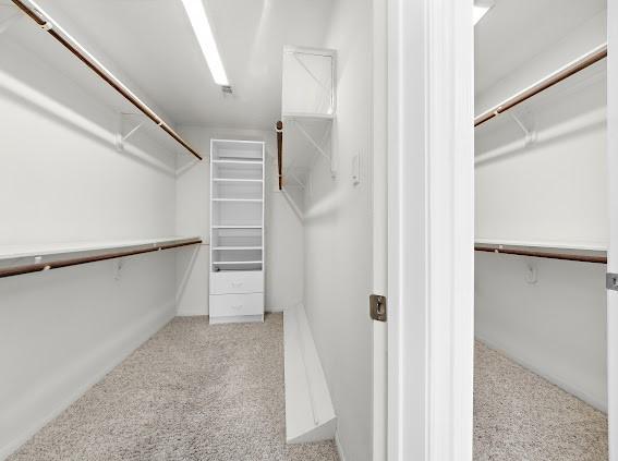 walk in closet featuring light carpet