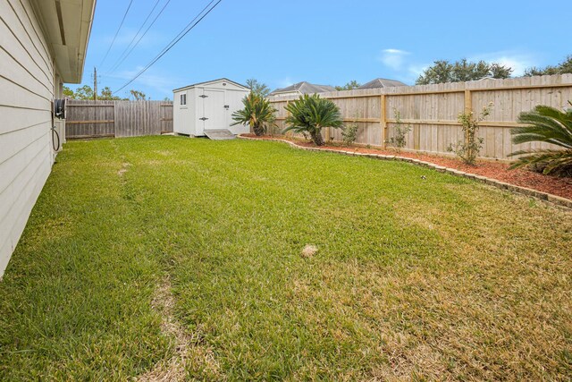 view of yard with a storage shed