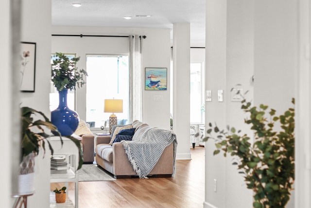 living room with light hardwood / wood-style floors