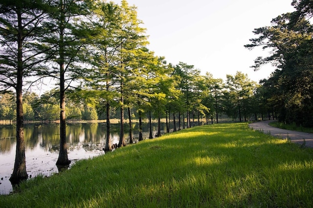 surrounding community featuring a water view