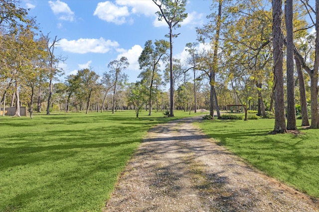 Listing photo 2 for 00 Myrtlewood Dr, Friendswood TX 77546