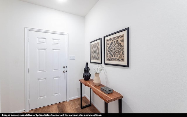 doorway to outside featuring wood-type flooring