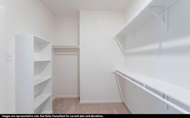 spacious closet with light colored carpet