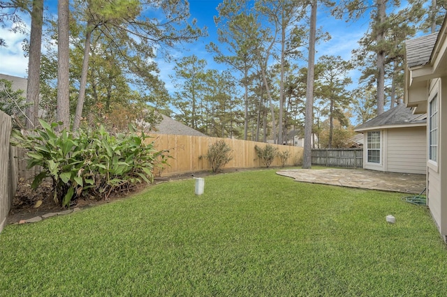 view of yard featuring a patio