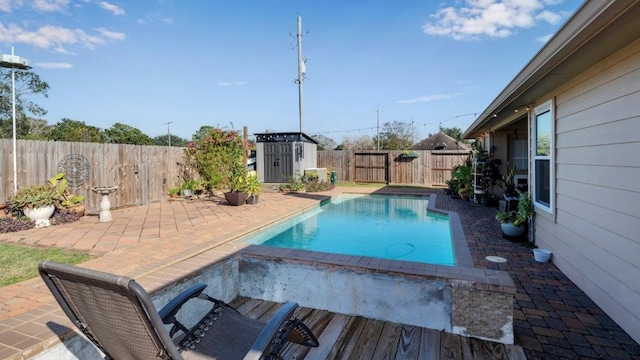 view of pool with a patio and a shed