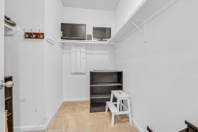 spacious closet with electric panel and light carpet