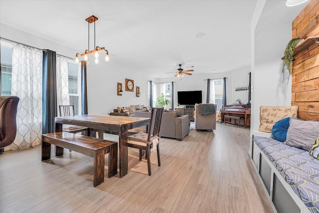 dining room featuring light hardwood / wood-style flooring and ceiling fan