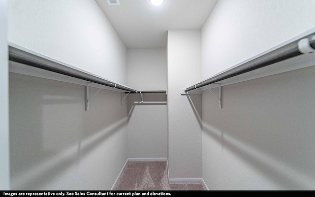 walk in closet with carpet flooring