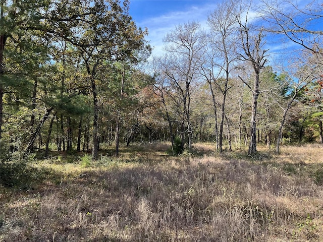 0 County Road 446, Navasota TX, 77868 land for sale