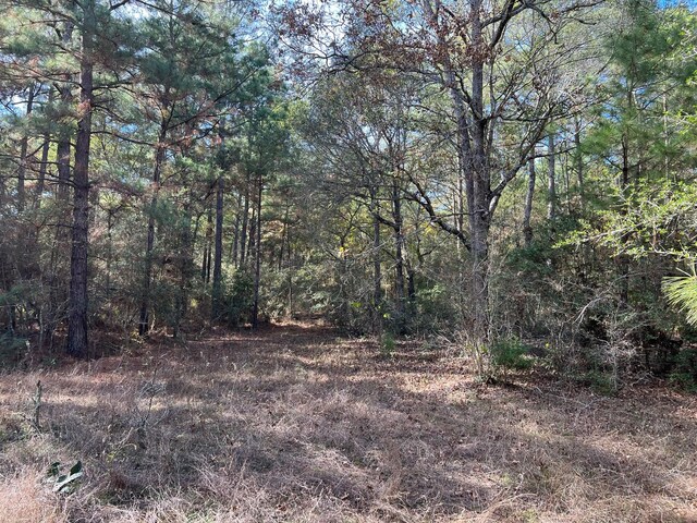 0 County Road 446, Navasota, TX 77868