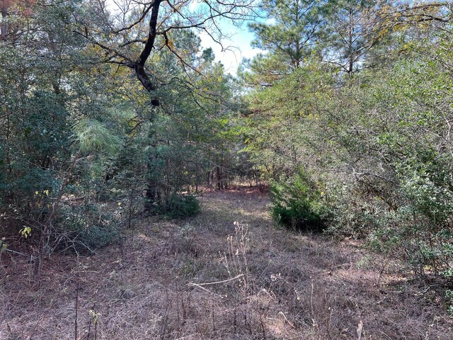 0 County Road 446, Navasota, TX 77868