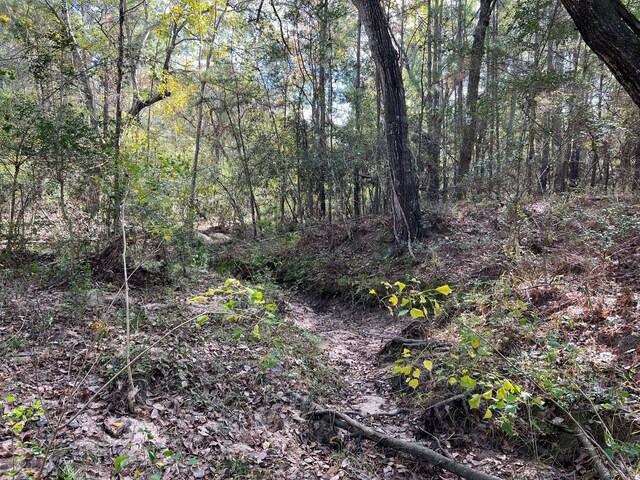 0 County Road 446, Navasota, TX 77868