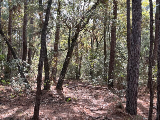 0 County Road 446, Navasota, TX 77868