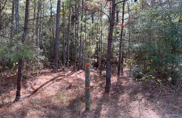 0 County Road 446, Navasota, TX 77868