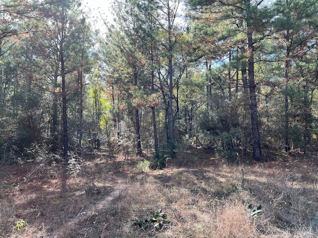 0 County Road 446, Navasota, TX 77868