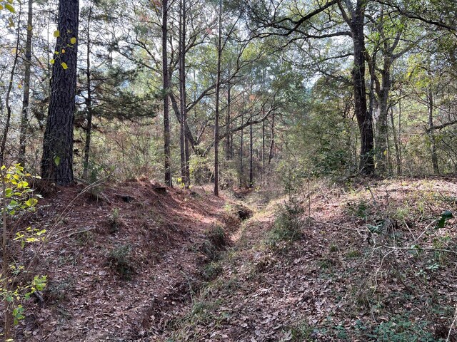 0 County Road 446, Navasota, TX 77868