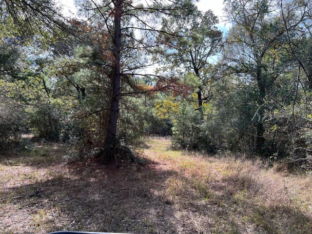 0 County Road 446, Navasota, TX 77868