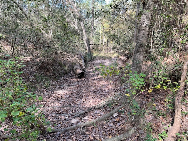 0 County Road 446, Navasota, TX 77868