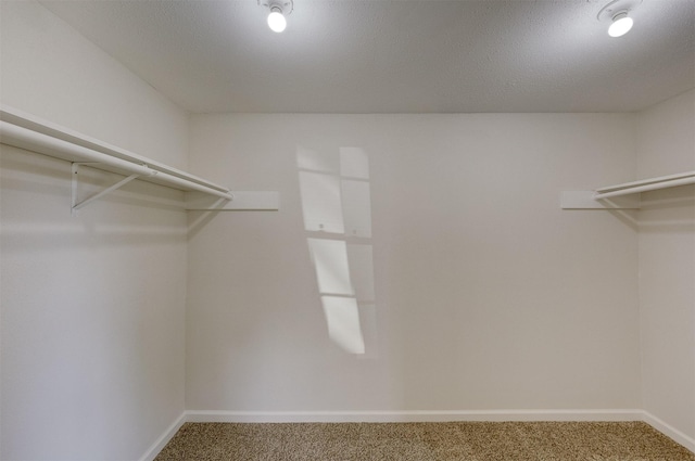 walk in closet with carpet floors