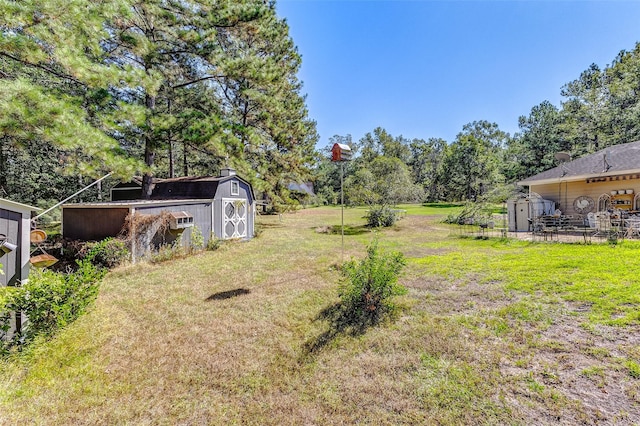 view of yard with a storage unit