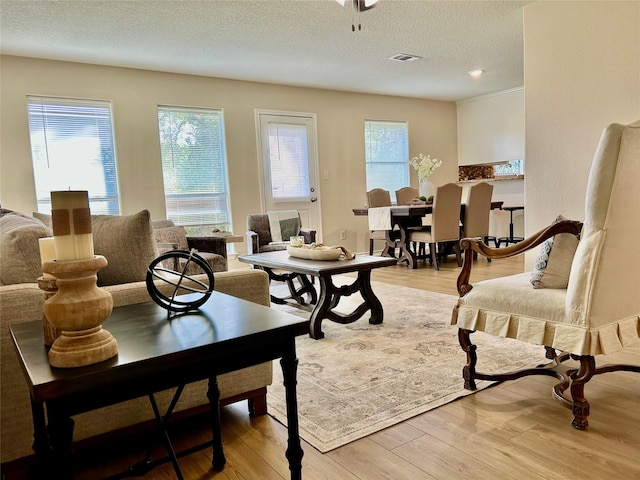 living area with light wood-type flooring and a textured ceiling