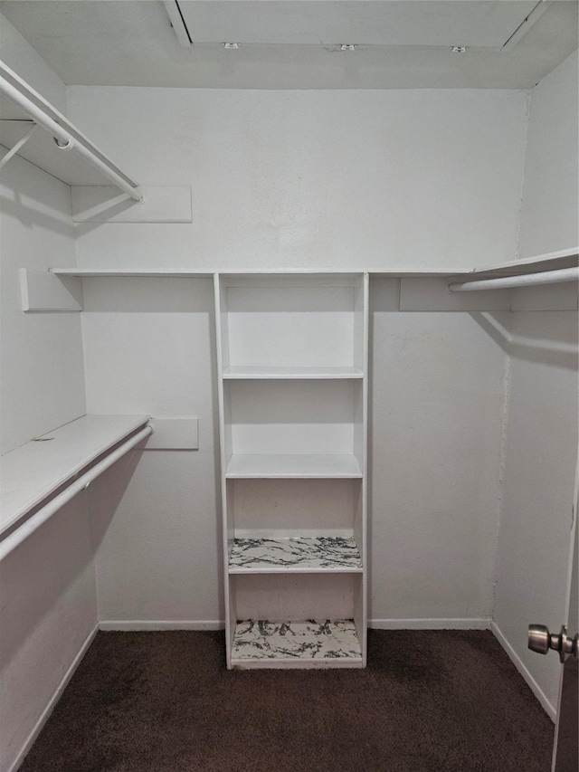 walk in closet with dark carpet