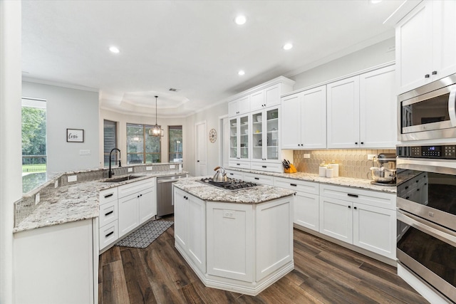 kitchen with sink, hanging light fixtures, dark hardwood / wood-style floors, white cabinetry, and stainless steel appliances