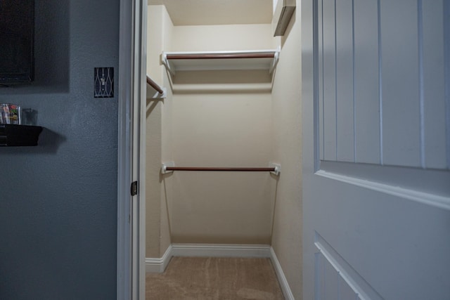 spacious closet with carpet flooring