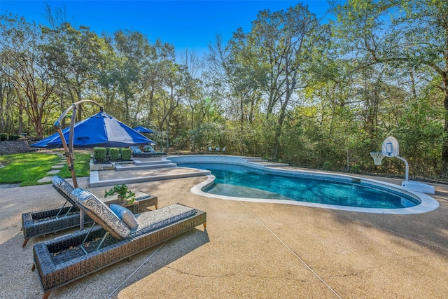 view of swimming pool with a patio