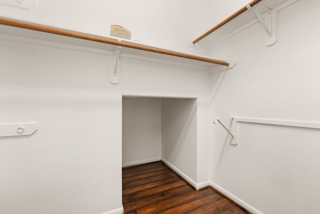 spacious closet featuring dark wood-type flooring