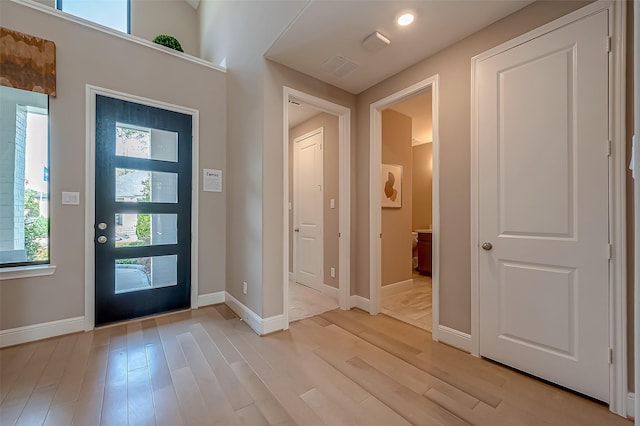 entryway featuring light hardwood / wood-style floors and plenty of natural light