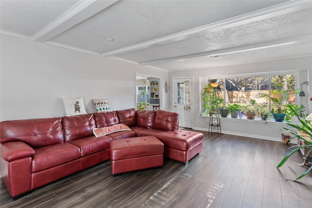 living room featuring beam ceiling, dark wood-type flooring, and a textured ceiling