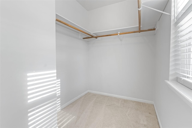 walk in closet with light colored carpet