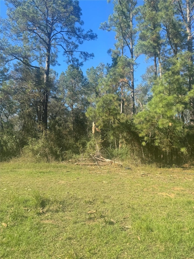 Listing photo 3 for TBD Tolliver Rd, Conroe TX 77306