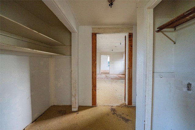 view of closet