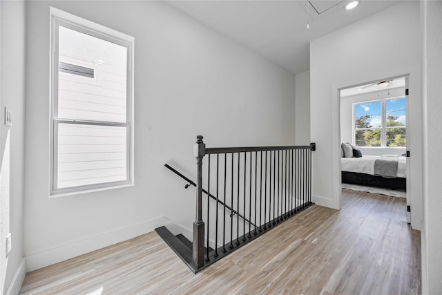 stairway with hardwood / wood-style flooring