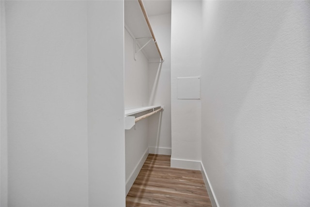 spacious closet featuring light hardwood / wood-style floors