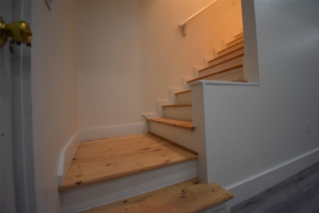 stairway with wood-type flooring