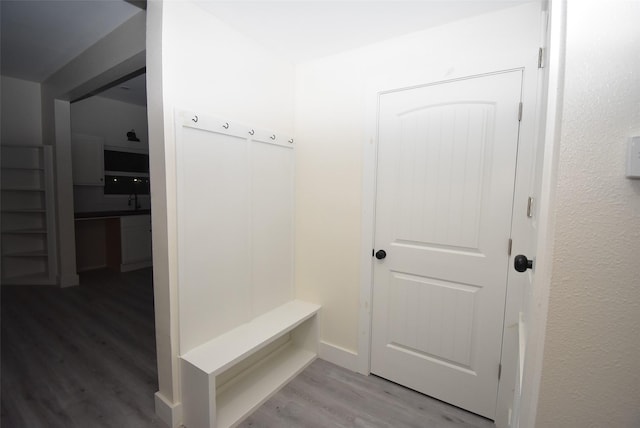 mudroom with hardwood / wood-style floors