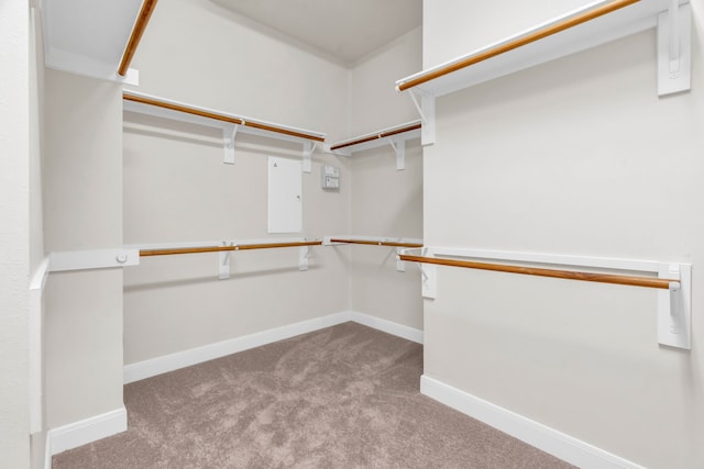 spacious closet featuring light colored carpet