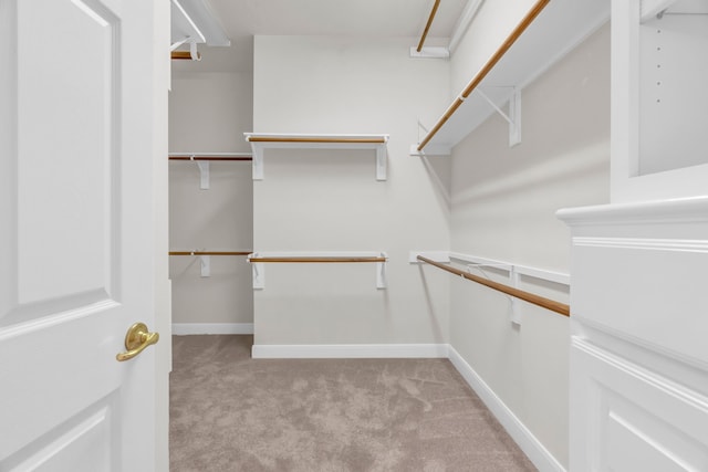 walk in closet with light carpet