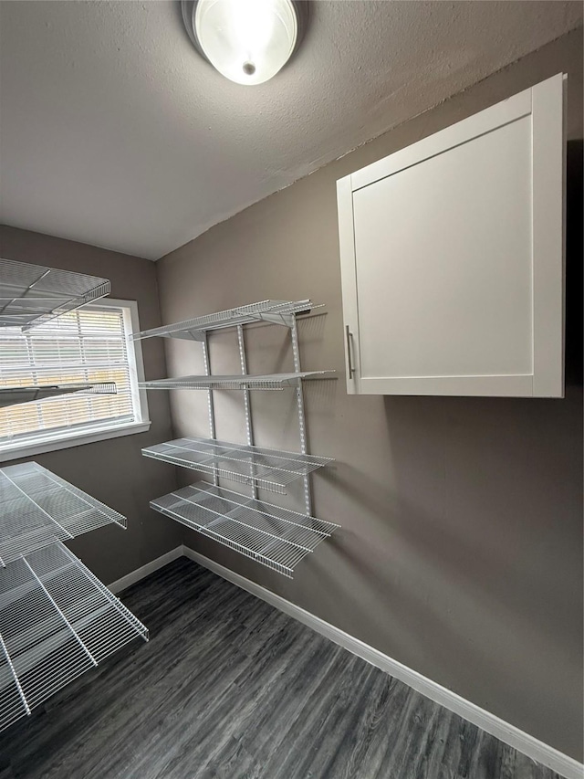 walk in closet featuring dark hardwood / wood-style floors