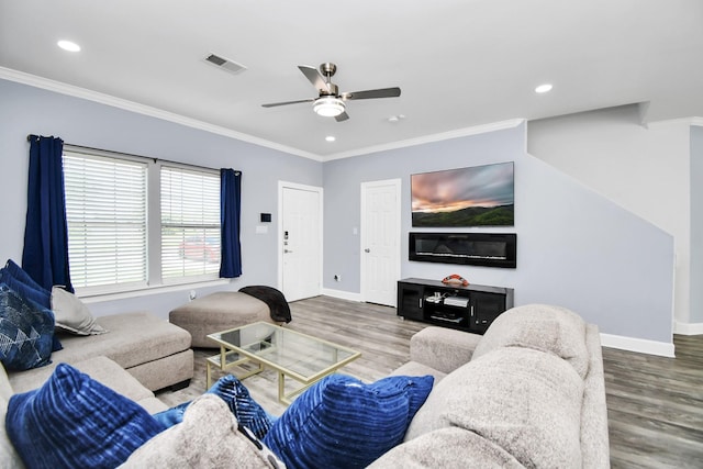 living room with hardwood / wood-style floors, ceiling fan, and ornamental molding